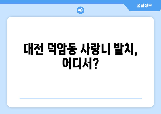대전시 대덕구 덕암동 사랑니 치과 매복 발치 잘하는 곳 비용 | 후기 | 추천