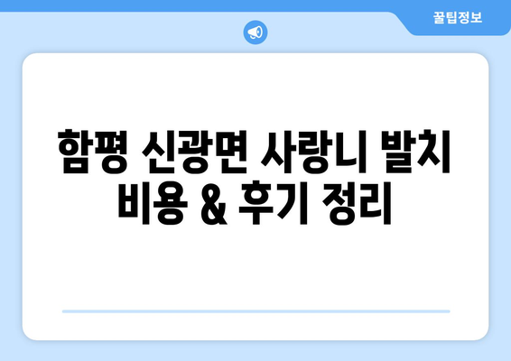 전라남도 함평군 신광면 사랑니 치과 매복 발치 잘하는 곳 비용 | 후기 | 추천