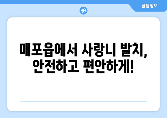 충청북도 단양군 매포읍 사랑니 치과 매복 발치 잘하는 곳 비용 | 후기 | 추천
