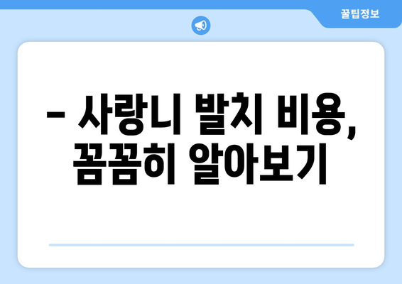 경상남도 함안군 법수면 사랑니 치과 매복 발치 잘하는 곳 비용 | 후기 | 추천