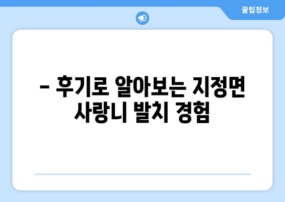 강원도 원주시 지정면 사랑니 치과 매복 발치 잘하는 곳 비용 | 후기 | 추천