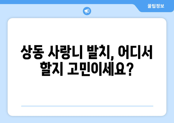 대구시 수성구 상동 사랑니 치과 매복 발치 잘하는 곳 비용 | 후기 | 추천