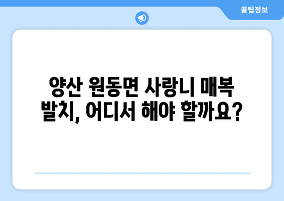 경상남도 양산시 원동면 사랑니 치과 매복 발치 잘하는 곳 비용 | 후기 | 추천