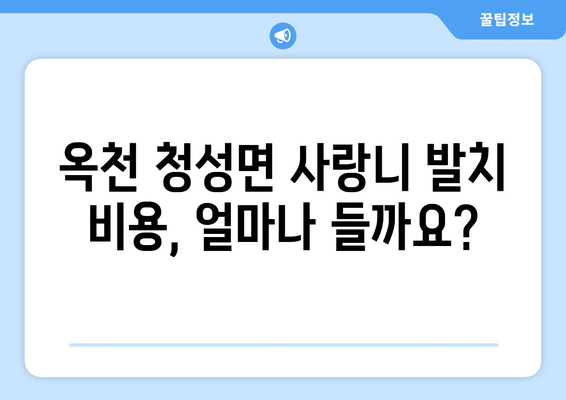 충청북도 옥천군 청성면 사랑니 치과 매복 발치 잘하는 곳 비용 | 후기 | 추천