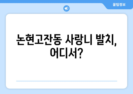 인천시 남동구 논현고잔동 사랑니 치과 매복 발치 잘하는 곳 비용 | 후기 | 추천