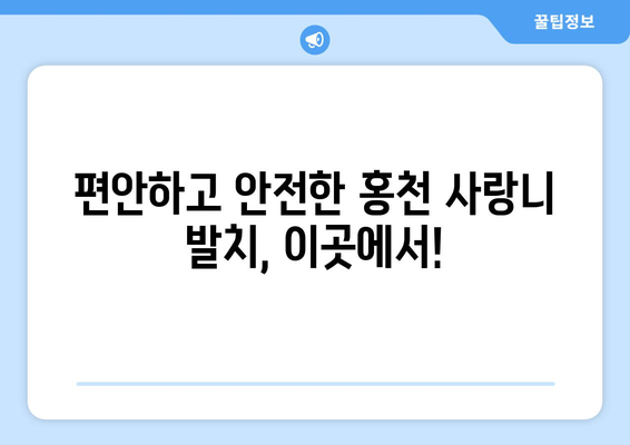 강원도 홍천군 홍천읍 사랑니 치과 매복 발치 잘하는 곳 비용 | 후기 | 추천