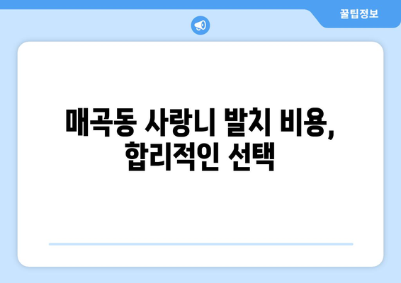 광주시 북구 매곡동 사랑니 치과 매복 발치 잘하는 곳 비용 | 후기 | 추천
