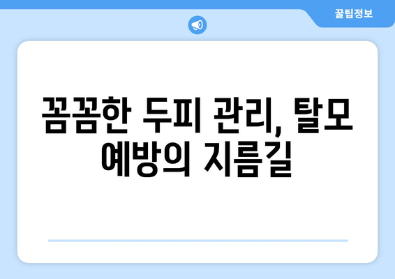 인천시 옹진군 덕적면 모바일식 탈모치료 잘하는곳 두피관리 추천 베스트 헤어라인 정수리 비용 후기