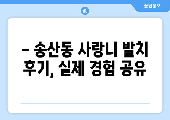 제주도 서귀포시 송산동 사랑니 치과 매복 발치 잘하는 곳 비용 | 후기 | 추천