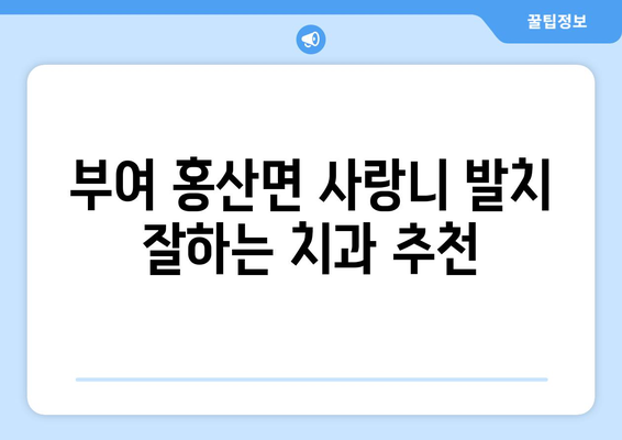 충청남도 부여군 홍산면 사랑니 치과 매복 발치 잘하는 곳 비용 | 후기 | 추천