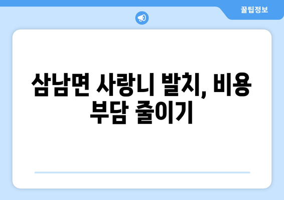 울산시 울주군 삼남면 사랑니 치과 매복 발치 잘하는 곳 비용 | 후기 | 추천