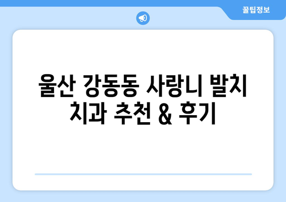 울산시 북구 강동동 사랑니 치과 매복 발치 잘하는 곳 비용 | 후기 | 추천