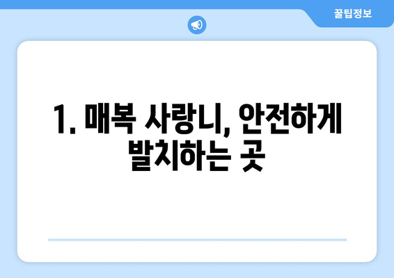 대구시 군위군 고로면 사랑니 치과 매복 발치 잘하는 곳 비용 | 후기 | 추천