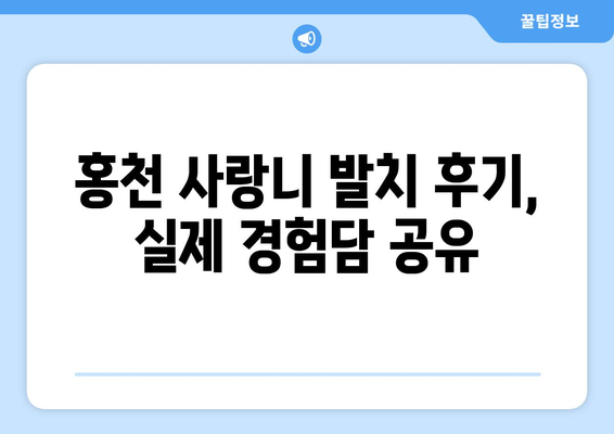 강원도 홍천군 홍천읍 사랑니 치과 매복 발치 잘하는 곳 비용 | 후기 | 추천