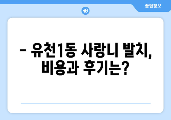 대전시 중구 유천1동 사랑니 치과 매복 발치 잘하는 곳 비용 | 후기 | 추천