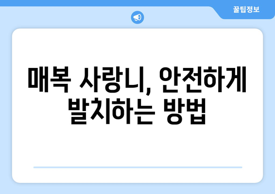 대구시 군위군 효령면 사랑니 치과 매복 발치 잘하는 곳 비용 | 후기 | 추천