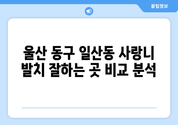 울산시 동구 일산동 사랑니 치과 매복 발치 잘하는 곳 비용 | 후기 | 추천