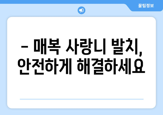 울산시 남구 신정4동 사랑니 치과 매복 발치 잘하는 곳 비용 | 후기 | 추천