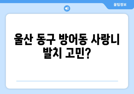 울산시 동구 방어동 사랑니 치과 매복 발치 잘하는 곳 비용 | 후기 | 추천