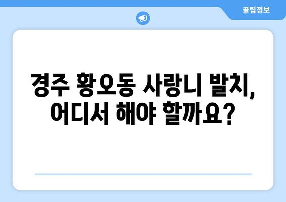 경상북도 경주시 황오동 사랑니 치과 매복 발치 잘하는 곳 비용 | 후기 | 추천