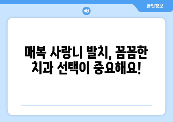서울시 서초구 양재1동 사랑니 치과 매복 발치 잘하는 곳 비용 | 후기 | 추천