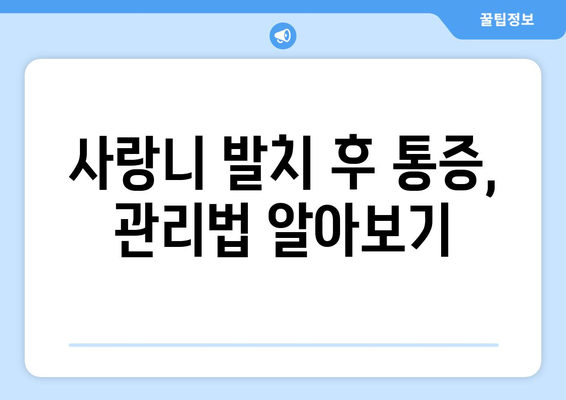 제주도 서귀포시 중앙동 사랑니 치과 매복 발치 잘하는 곳 비용 | 후기 | 추천
