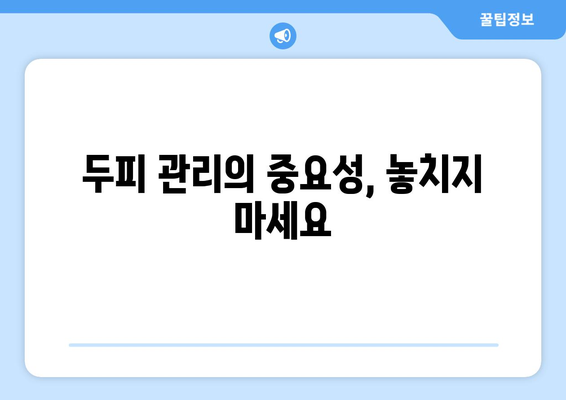 강원도 춘천시 소양로1동 모바일식 탈모치료 잘하는곳 두피관리 추천 베스트 헤어라인 정수리 비용 후기