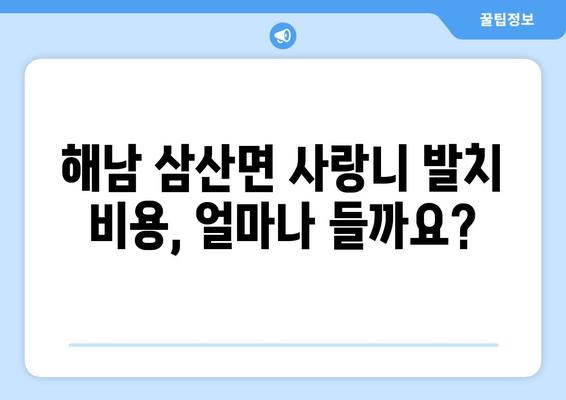 전라남도 해남군 삼산면 사랑니 치과 매복 발치 잘하는 곳 비용 | 후기 | 추천
