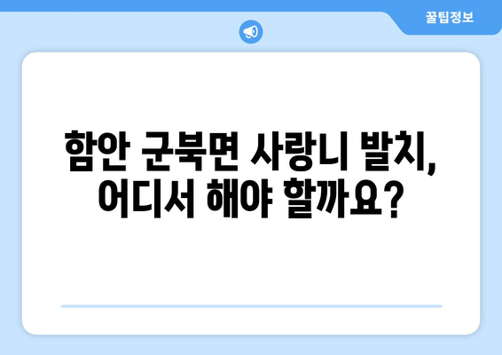 경상남도 함안군 군북면 사랑니 치과 매복 발치 잘하는 곳 비용 | 후기 | 추천