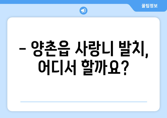 경기도 김포시 양촌읍 사랑니 치과 매복 발치 잘하는 곳 비용 | 후기 | 추천