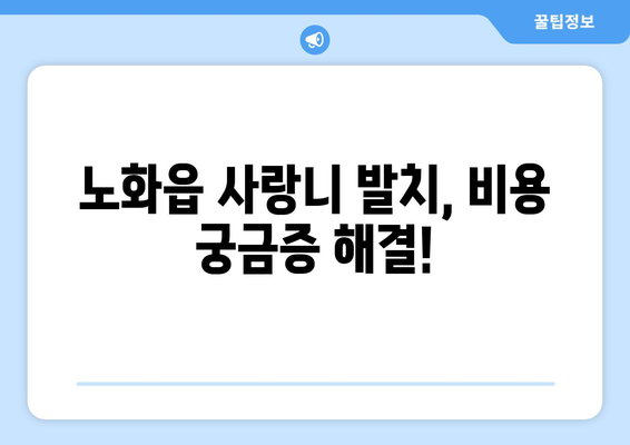 전라남도 완도군 노화읍 사랑니 치과 매복 발치 잘하는 곳 비용 | 후기 | 추천