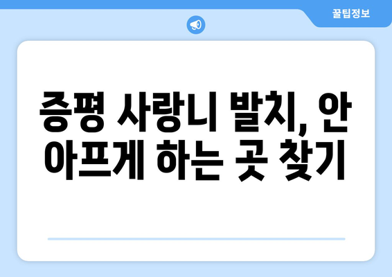충청북도 증평군 증평읍 사랑니 치과 매복 발치 잘하는 곳 비용 | 후기 | 추천