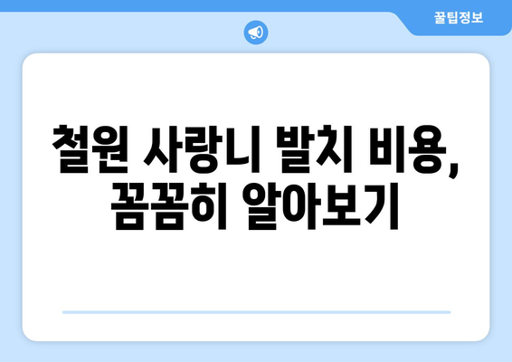 강원도 철원군 철원읍 사랑니 치과 매복 발치 잘하는 곳 비용 | 후기 | 추천