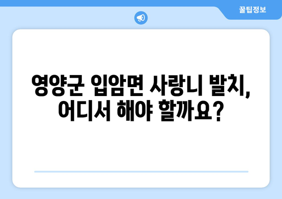 경상북도 영양군 입암면 사랑니 치과 매복 발치 잘하는 곳 비용 | 후기 | 추천