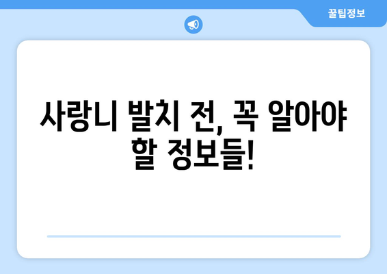 경상북도 영양군 입암면 사랑니 치과 매복 발치 잘하는 곳 비용 | 후기 | 추천