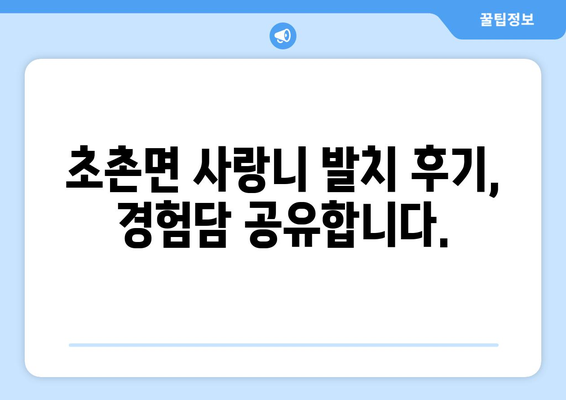 충청남도 부여군 초촌면 사랑니 치과 매복 발치 잘하는 곳 비용 | 후기 | 추천