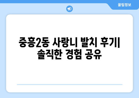광주시 북구 중흥2동 사랑니 치과 매복 발치 잘하는 곳 비용 | 후기 | 추천