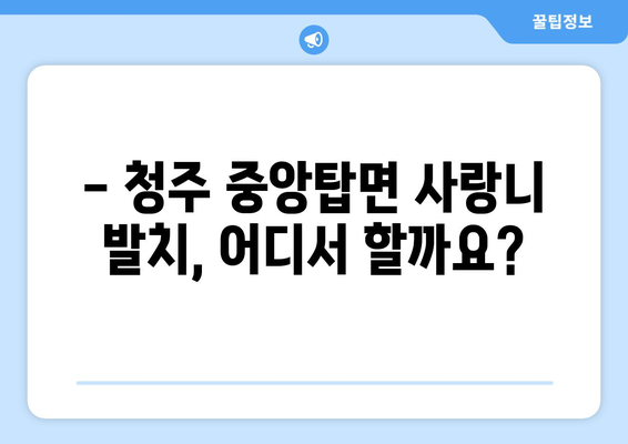 충청북도 청주시 청원구 중앙탑면 사랑니 치과 매복 발치 잘하는 곳 비용 | 후기 | 추천
