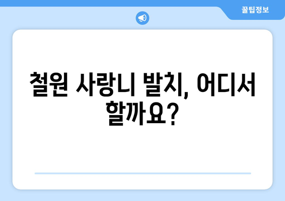 강원도 철원군 철원읍 사랑니 치과 매복 발치 잘하는 곳 비용 | 후기 | 추천