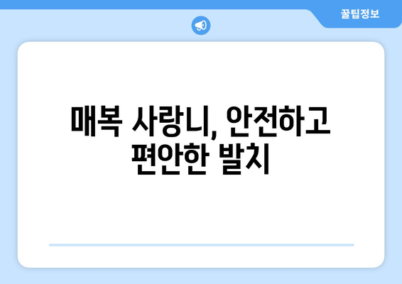 서울시 강남구 개포4동 사랑니 치과 매복 발치 잘하는 곳 비용 | 후기 | 추천