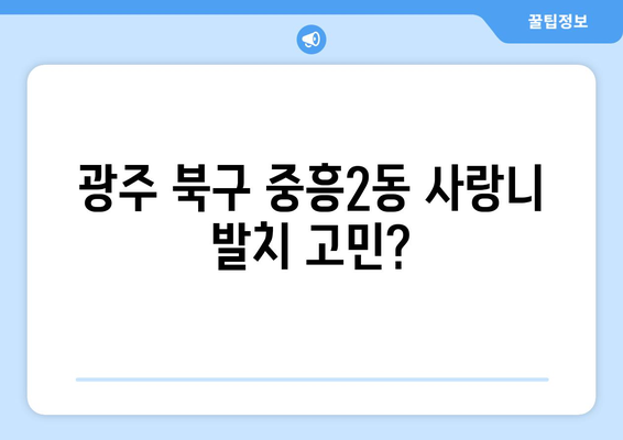 광주시 북구 중흥2동 사랑니 치과 매복 발치 잘하는 곳 비용 | 후기 | 추천