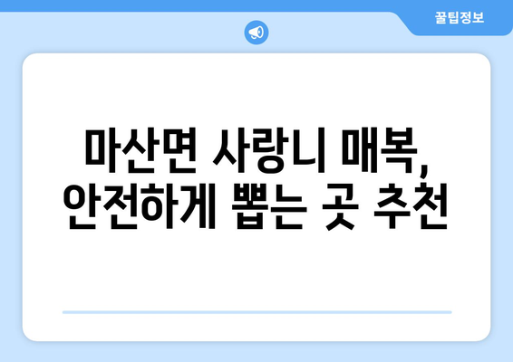 전라남도 해남군 마산면 사랑니 치과 매복 발치 잘하는 곳 비용 | 후기 | 추천