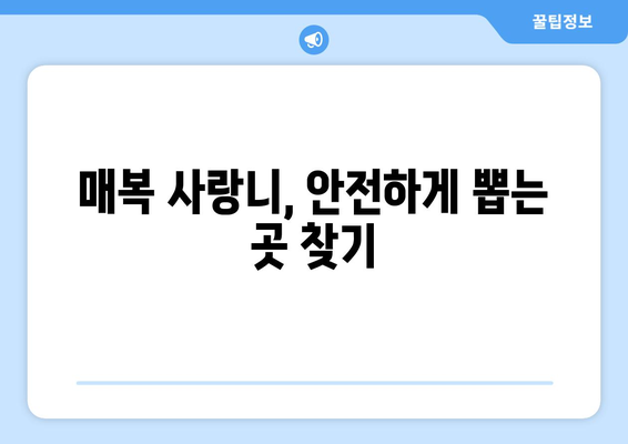 울산시 울주군 삼남면 사랑니 치과 매복 발치 잘하는 곳 비용 | 후기 | 추천