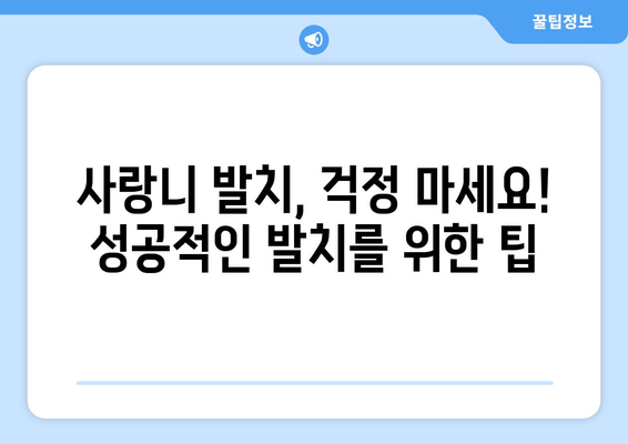 부산시 연제구 거제3동 사랑니 치과 매복 발치 잘하는 곳 비용 | 후기 | 추천
