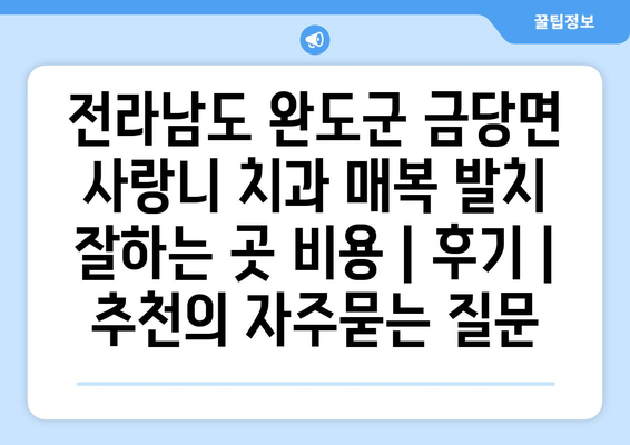 전라남도 완도군 금당면 사랑니 치과 매복 발치 잘하는 곳 비용 | 후기 | 추천