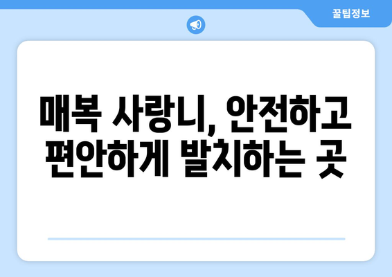 충청남도 서산시 인지면 사랑니 치과 매복 발치 잘하는 곳 비용 | 후기 | 추천