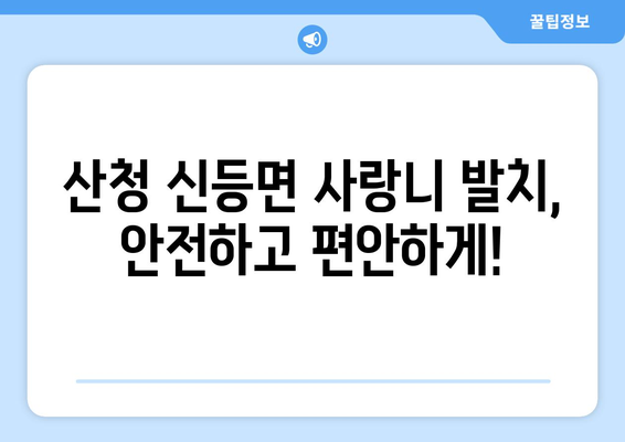 경상남도 산청군 신등면 사랑니 치과 매복 발치 잘하는 곳 비용 | 후기 | 추천