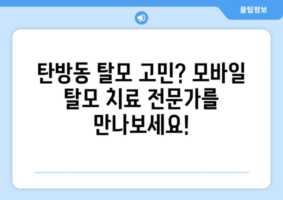대전시 서구 탄방동 모바일식 탈모치료 잘하는곳 두피관리 추천 베스트 헤어라인 정수리 비용 후기
