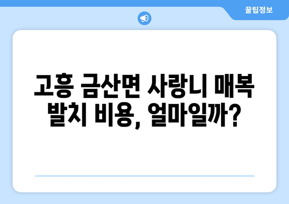 전라남도 고흥군 금산면 사랑니 치과 매복 발치 잘하는 곳 비용 | 후기 | 추천