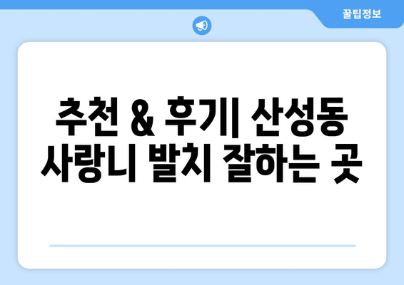 충청북도 청주시 상당구 산성동 사랑니 치과 매복 발치 잘하는 곳 비용 | 후기 | 추천